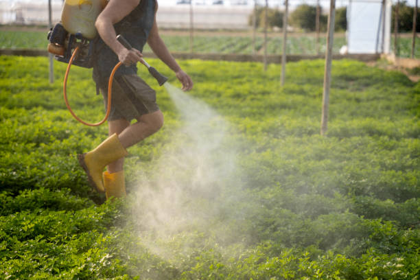 Best Pest Control Near Me  in Trumann, AR